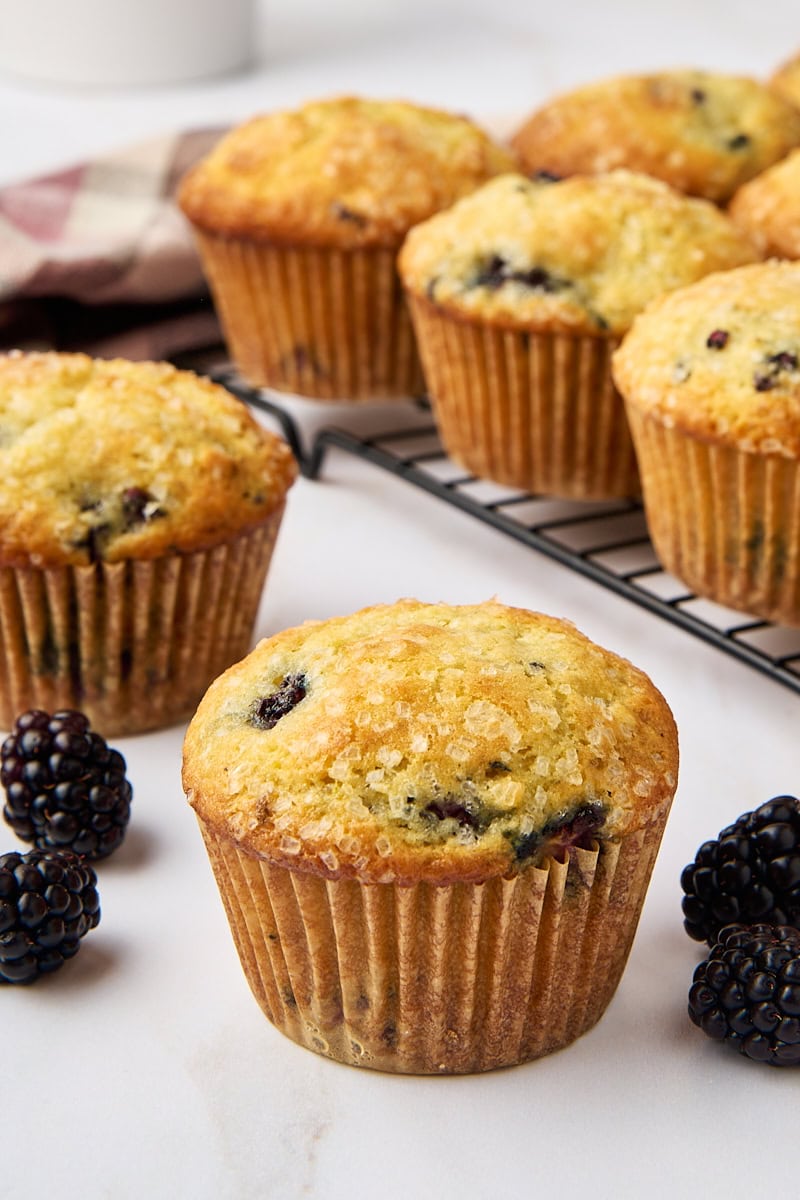 Bakery-Style Blackberry Muffins – Soft, Tender, and Easy