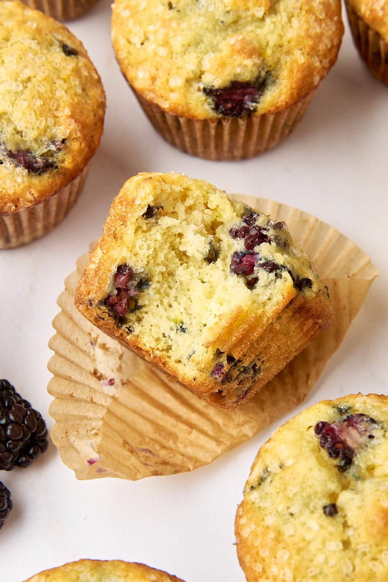 a blackberry muffin with a bite missing, surrounded by more muffins