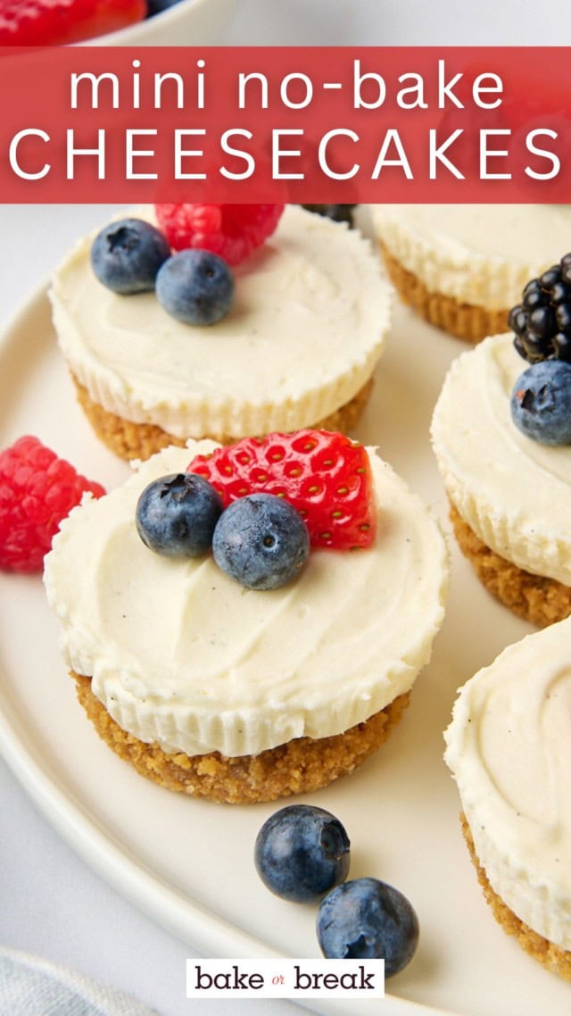 mini no-bake cheesecakes topped with fresh berries and served on a white plate; text overlay "mini no-bake cheesecakes"