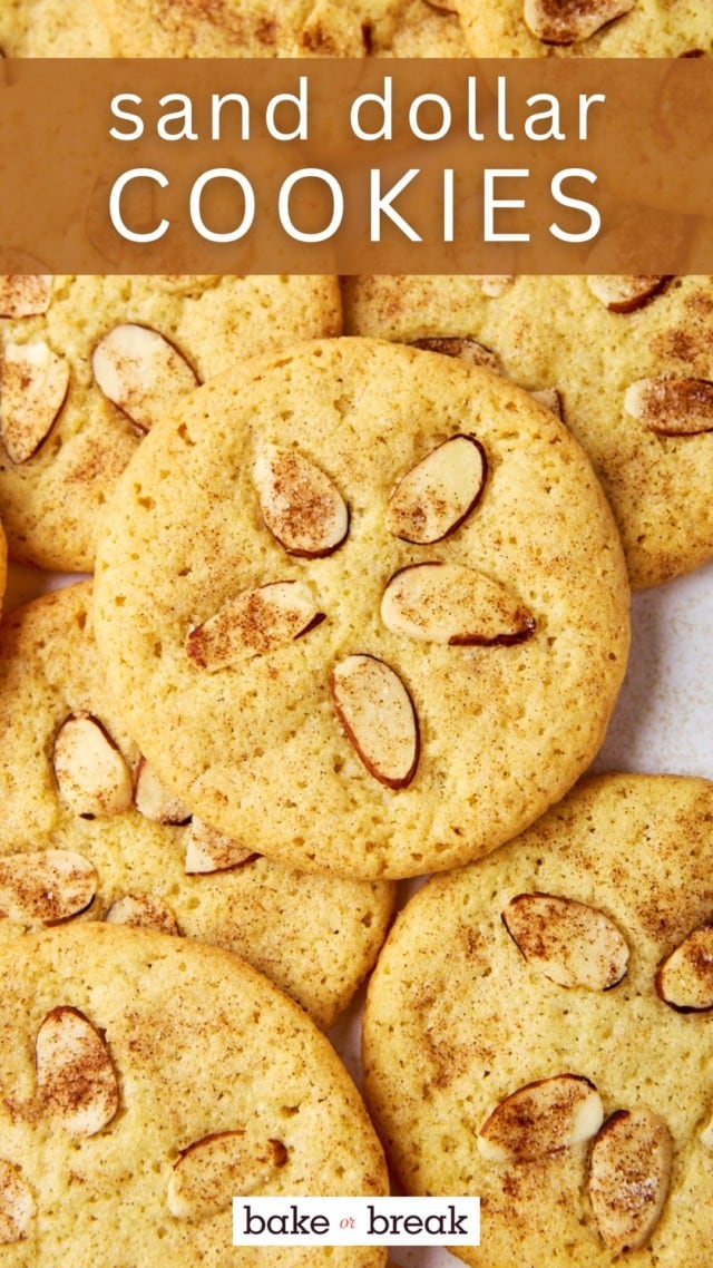 several sand dollar cookies on a white surface; text overlay "sand dollar cookies"