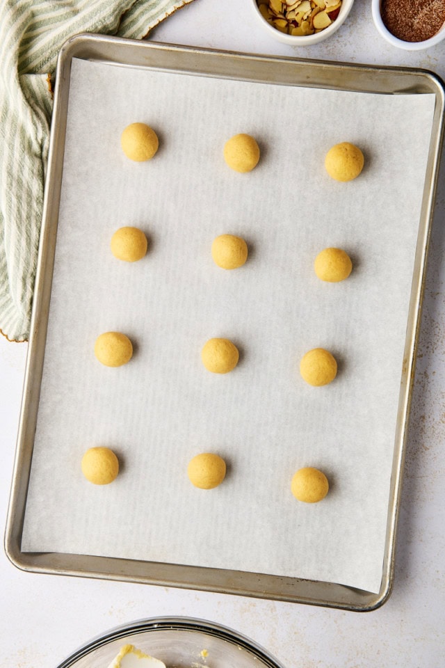 overhead view of scooped sand dollar cookie dough on a lined baking sheet