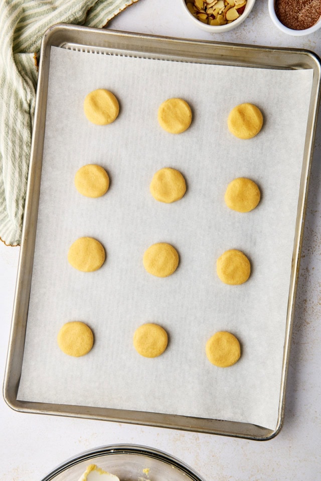 overhead view of flattened sand dollar cookies on a lined baking sheet