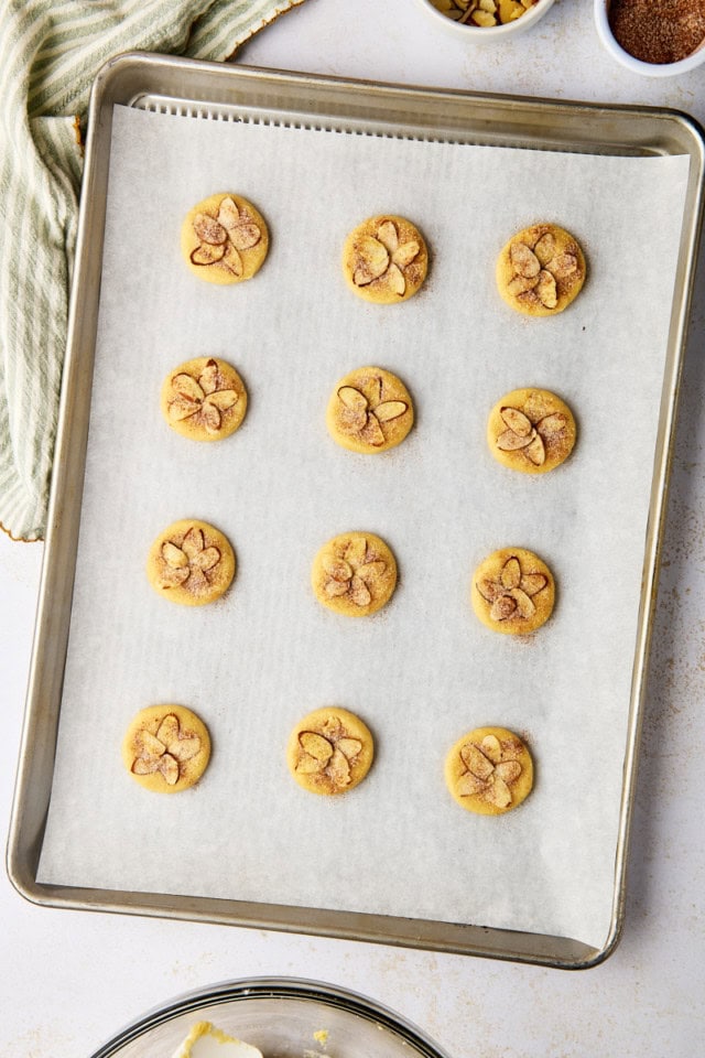 overhead view of sand dollar cookie dough topped with sliced almonds and cinnamon-sugar on a lined baking sheet ready to go into the oven