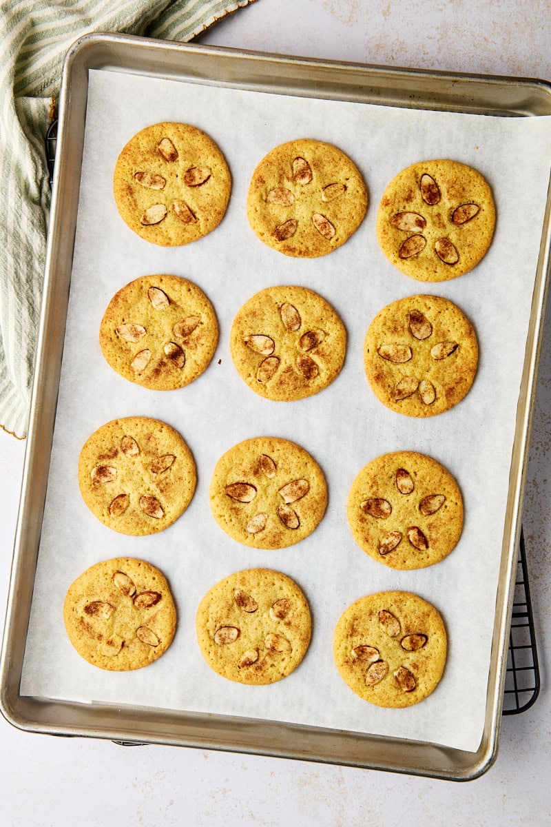 overhead view of freshly baked sand dollar cookies on a lined baking sheet set on a wire rack