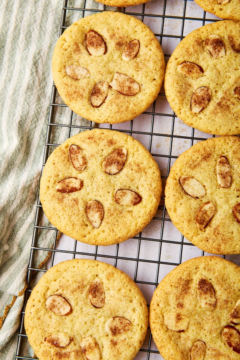 overhead view of sand dollar cookies on a wire rack