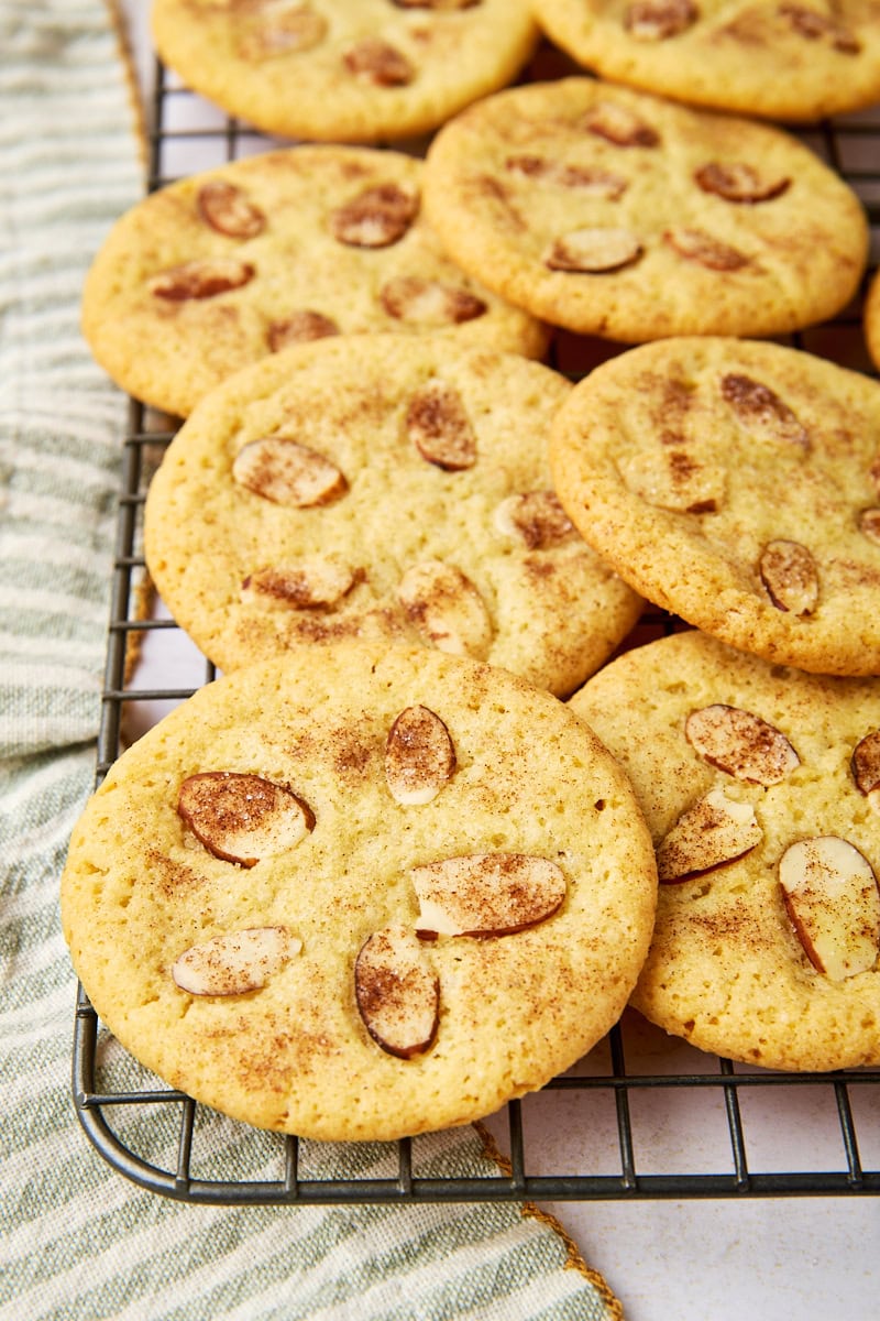 sand dollar cookies on a wire rack