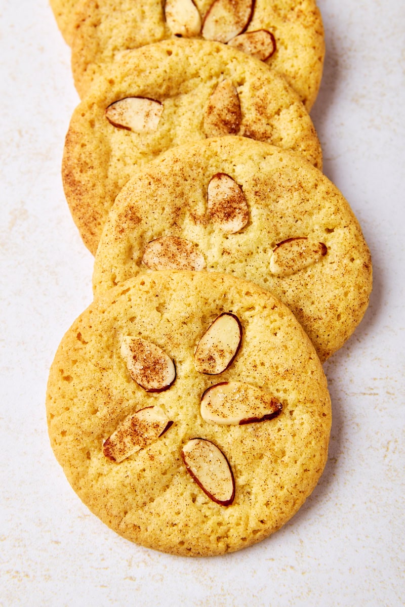 four overlapping sand dollar cookies on a white surface