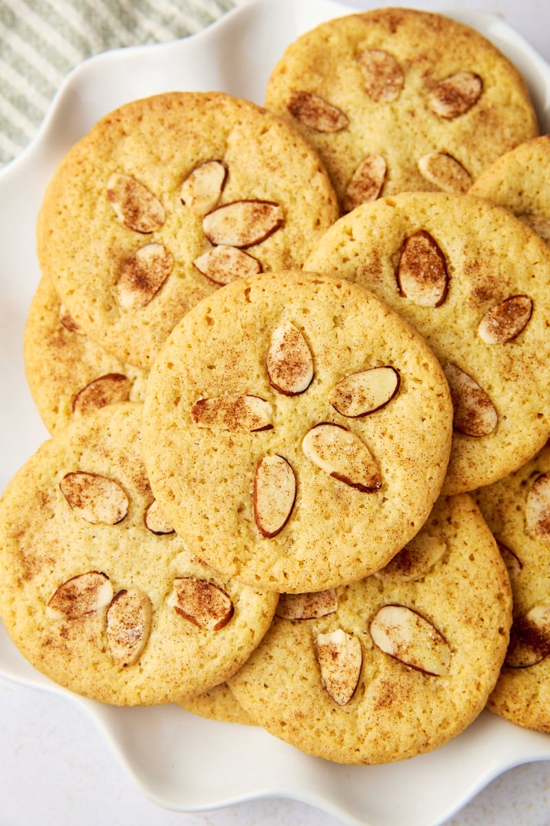 overhead view of several sand dollar cookies on a white plate