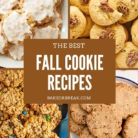 collage of four different cookies with text overlay "the best fall cookie recipes bakeorbreak.com"
