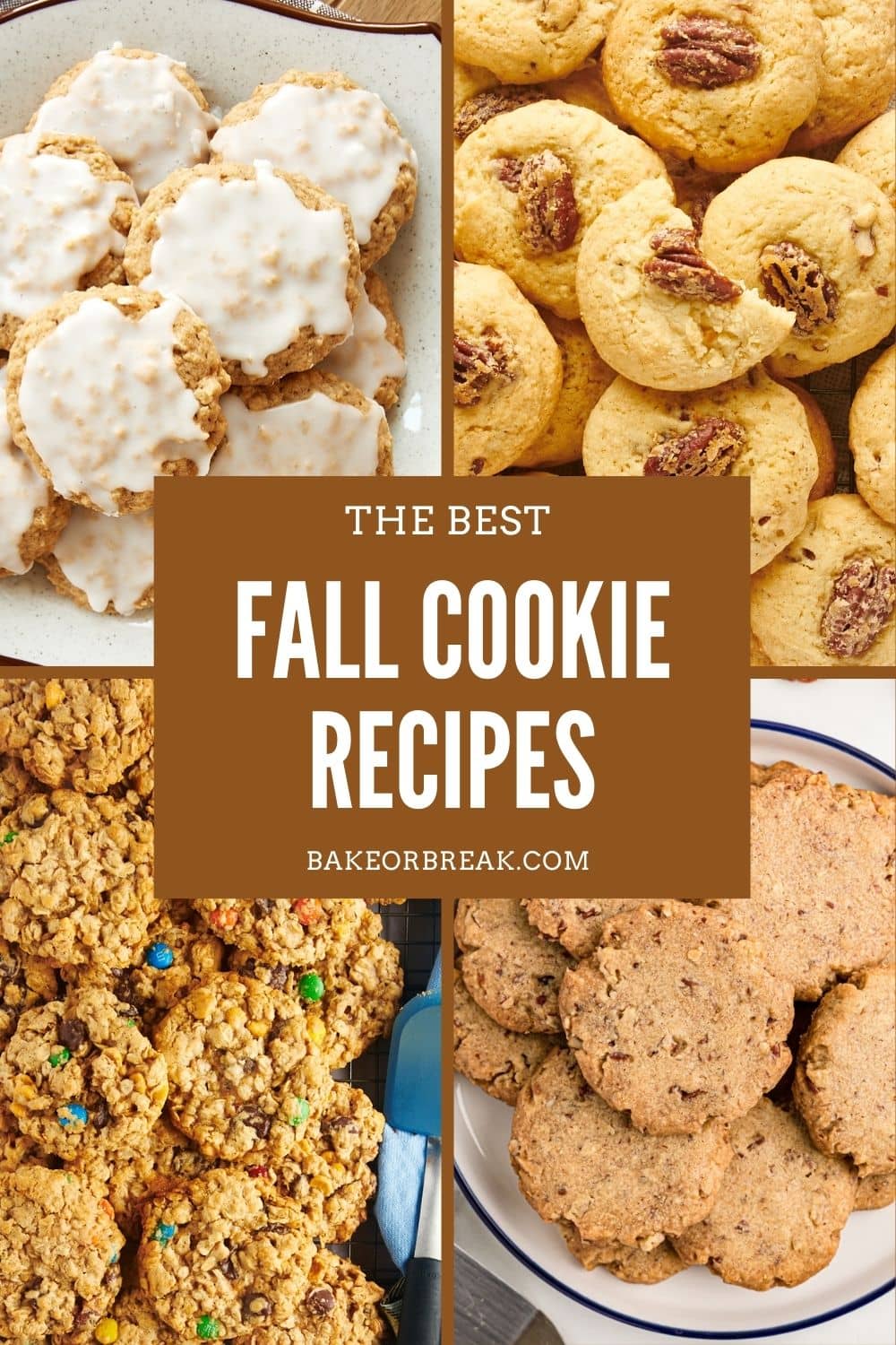 collage of four different cookies with text overlay "the best fall cookie recipes bakeorbreak.com"