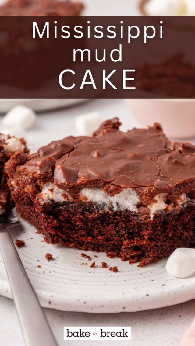 a slice of Mississippi mud cake on a white plate with a bite on a plate; text overlay "Mississippi mud cake"