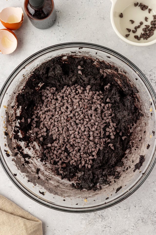 mini chocolate chips added to dark chocolate cookie dough