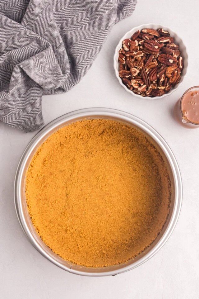 overhead view of graham cracker crust in the bottom of a springform pan