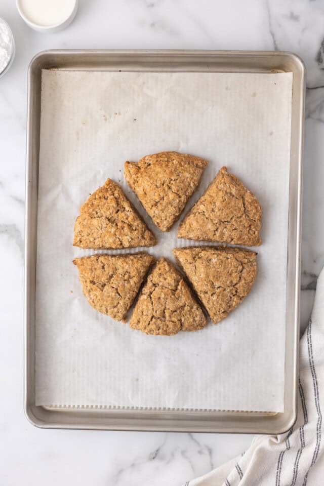 overhead view of freshly baked cinnamon oat scones on a parchment-lined baking sheet