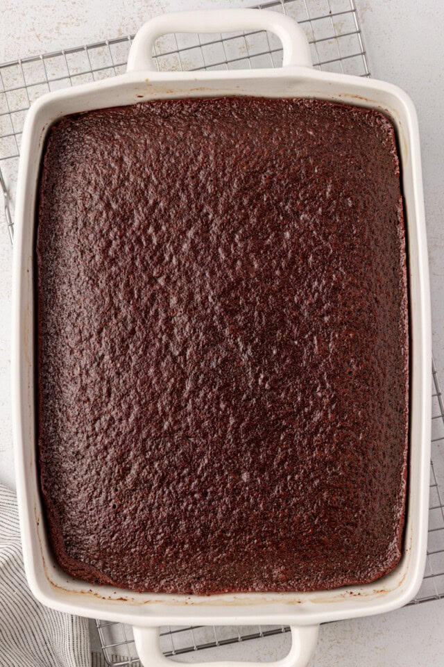 overhead view of freshly baked chocolate cake in a white rectangular pan
