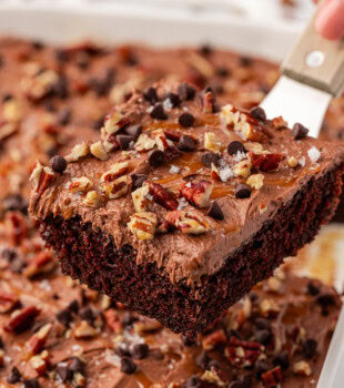 a slice of turtle cake on a cake server lifting away from the remaining cake