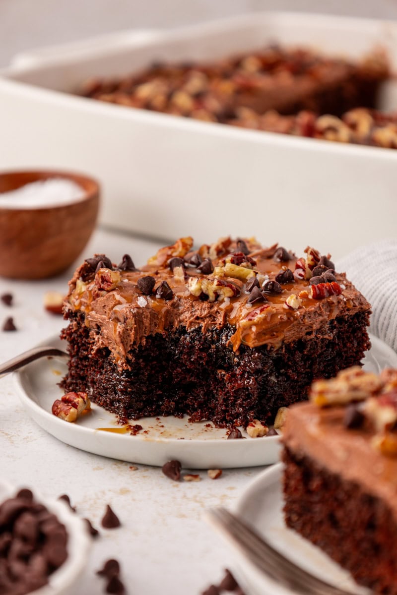 a slice of turtle cake with a bite missing on a white plate with more cake surrounding
