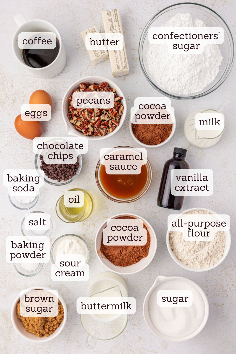 overhead view of ingredients for turtle cake