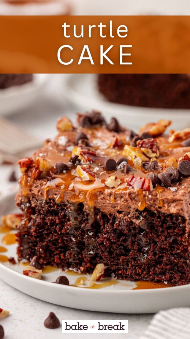 a slice of turtle cake on a white plate; text overlay "turtle cake bake or break"