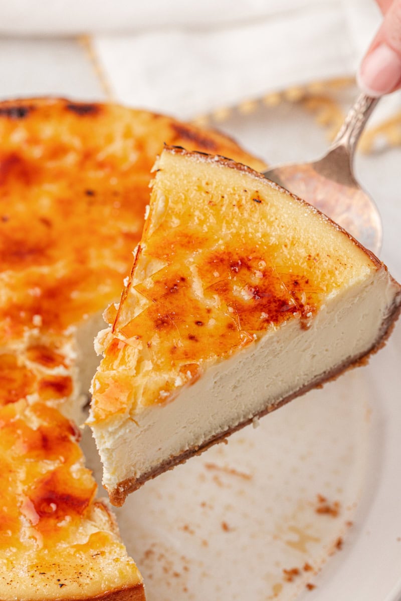 Crme Brle Cheesecake  No Water Bath Needed