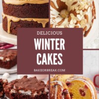 collage of winter cake recipes, including Kentucky jam cake, amaretto almond cake, Mississippi mud cake, and cranberry Bundt cake; text overlay "delicious winter cakes bakeorbreak.com"