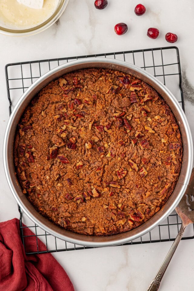 overhead view of freshly baked cranberry coffee cake in a springform pan on a cooling rack