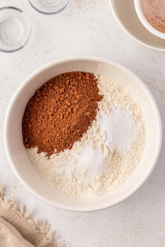 overhead view of flour, cocoa powder, baking soda, and salt in a mixing bowl