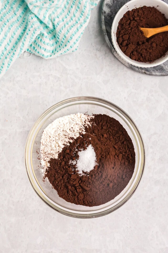 overhead view of flour, dark cocoa powder, and salt in a mixing bowl