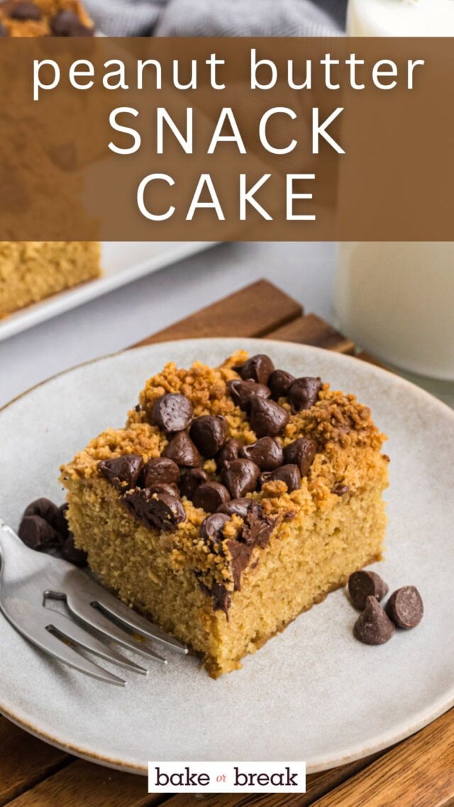 a slice of peanut butter chocolate chip cake on a plate; text overlay "peanut butter snack cake bake or break"