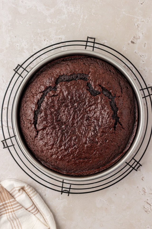 overhead view of freshly baked chocolate olive oil cake in a cake pan cooling on a wire rack