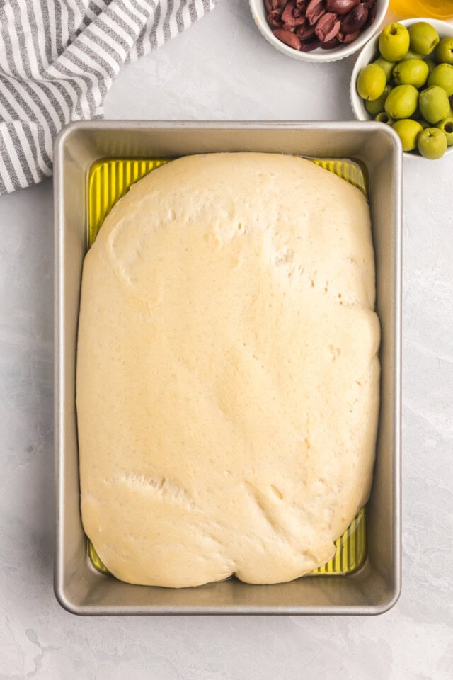 overhead view of no-knead focaccia after rising in an oiled baking pan