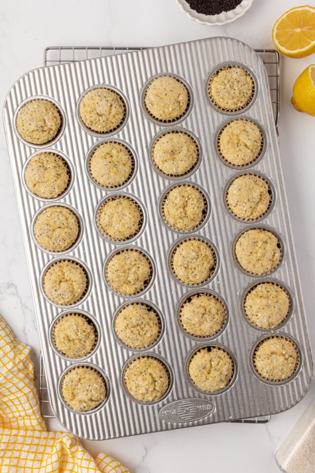 overhead view of freshly baked mini lemon poppy seed muffins in a mini muffin pan