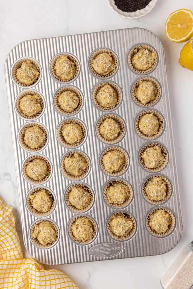overhead view of lemon poppy seed muffins in a muffin pan ready to go into the oven
