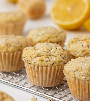 close-up of a mini lemon poppy seed muffin
