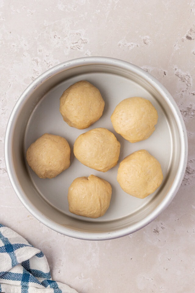 shaped dinner rolls in a baking pan before rising