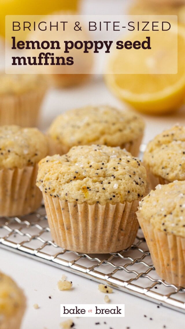 mini lemon poppy seed muffins on a wire rack; text overlay "bright & bite-sized lemon poppy seed muffins bake or break"