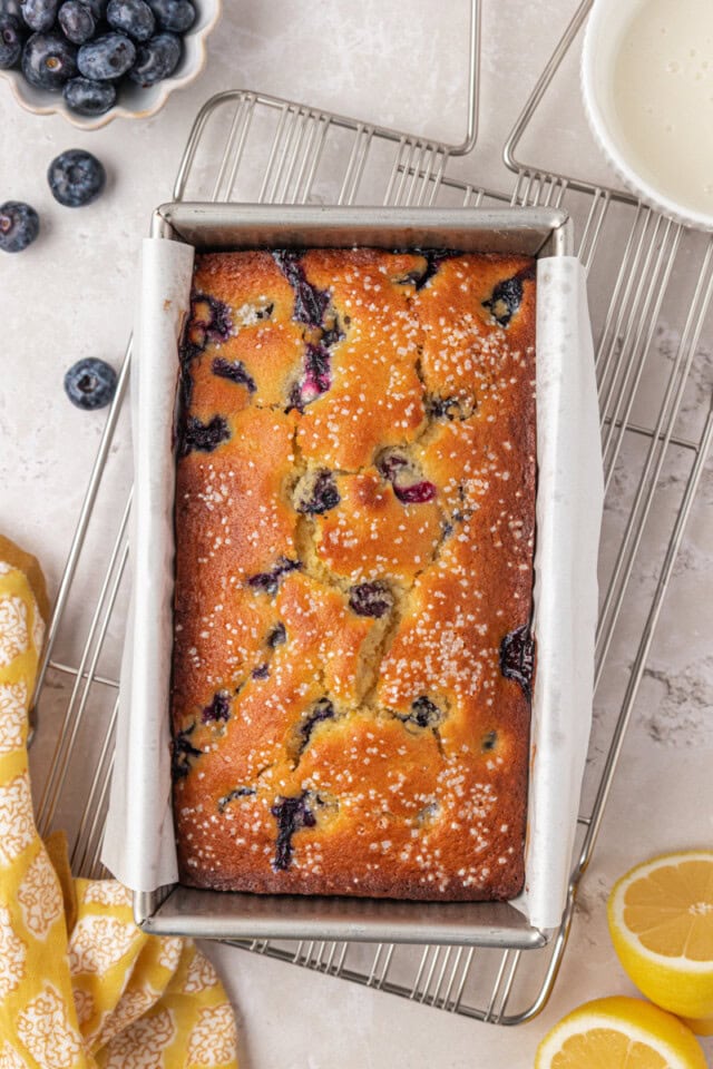 overhead view of freshly baked blueberry ricotta cake in a loaf pan