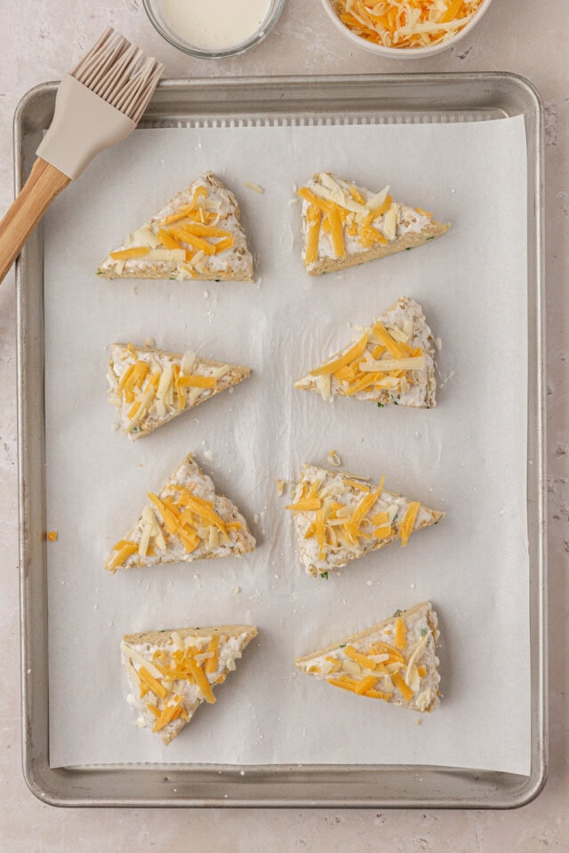 overhead view of herbed scones brushed with cream and topped with shredded cheese on a baking pan ready to go into the oven