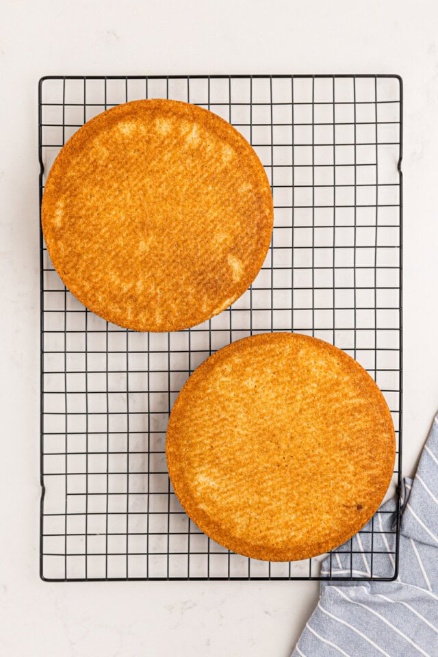two freshly baked vanilla cake layers cooling on a wire rack