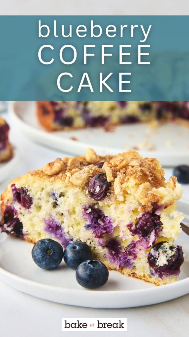 a slice of coffee cake filled with blueberries and topped with a nutty cinnamon topping; text overlay "blueberry coffee cake - bake or break"