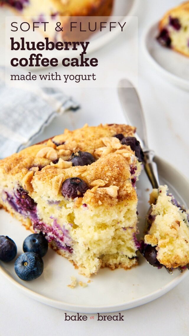a slice of blueberry coffee cake with a bite on a fork, showing the soft, fluffy texture; text overlay "soft & fluffy blueberry coffee cake made with yogurt - bake or break"