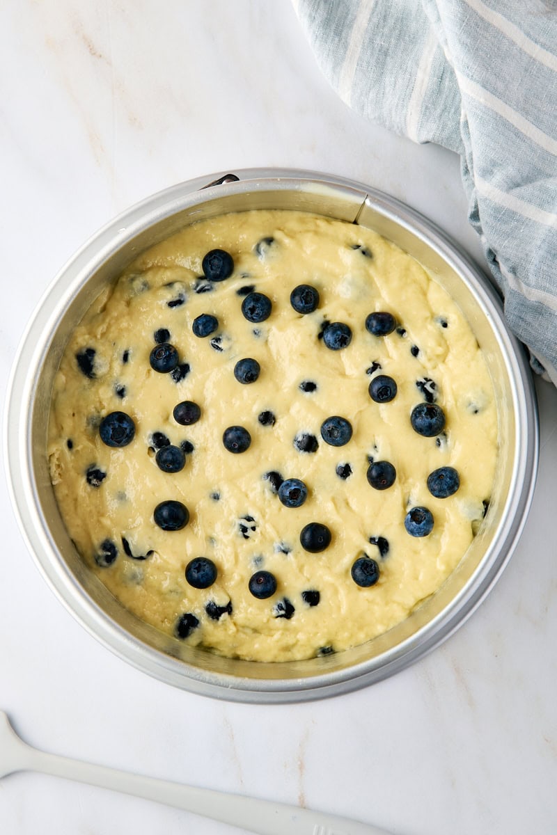 blueberry coffee cake batter in a springform pan