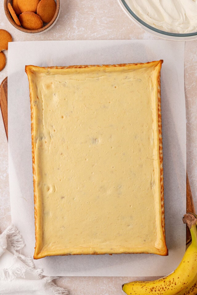 chilled banana pudding cheesecake bars before cutting into bars