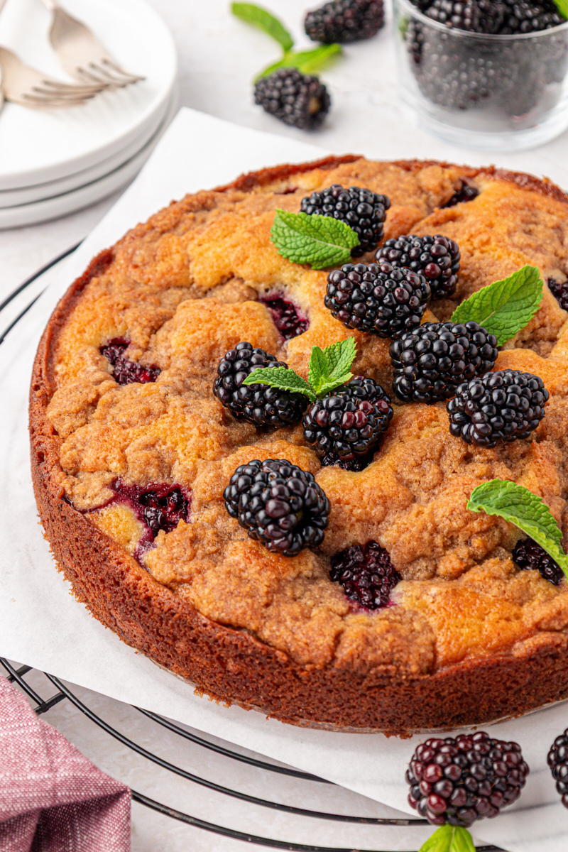 old-fashioned blackberry buckle topped with a chunky cinnamon crumb