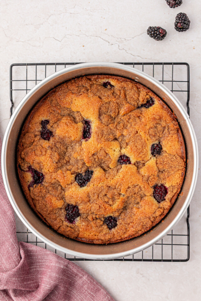 overhead view of freshly baked blackberry buckle in a springform pan set on a wire rack