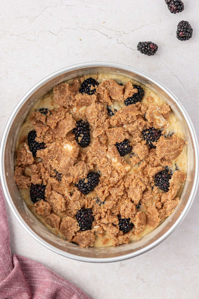 overhead view of crumb-topped blackberry buckle in a springform pan before baking