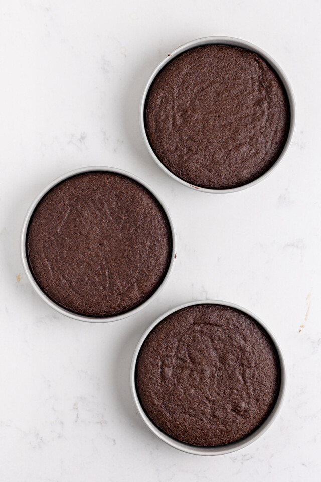 overhead view of freshly baked chocolate cake layers