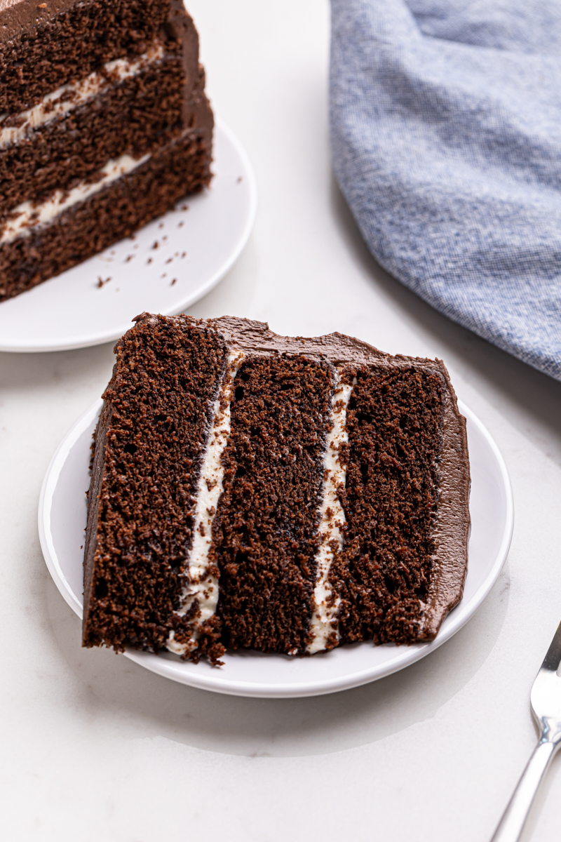 a slice of chocolate cake with cream cheese filling and chocolate sour cream frosting