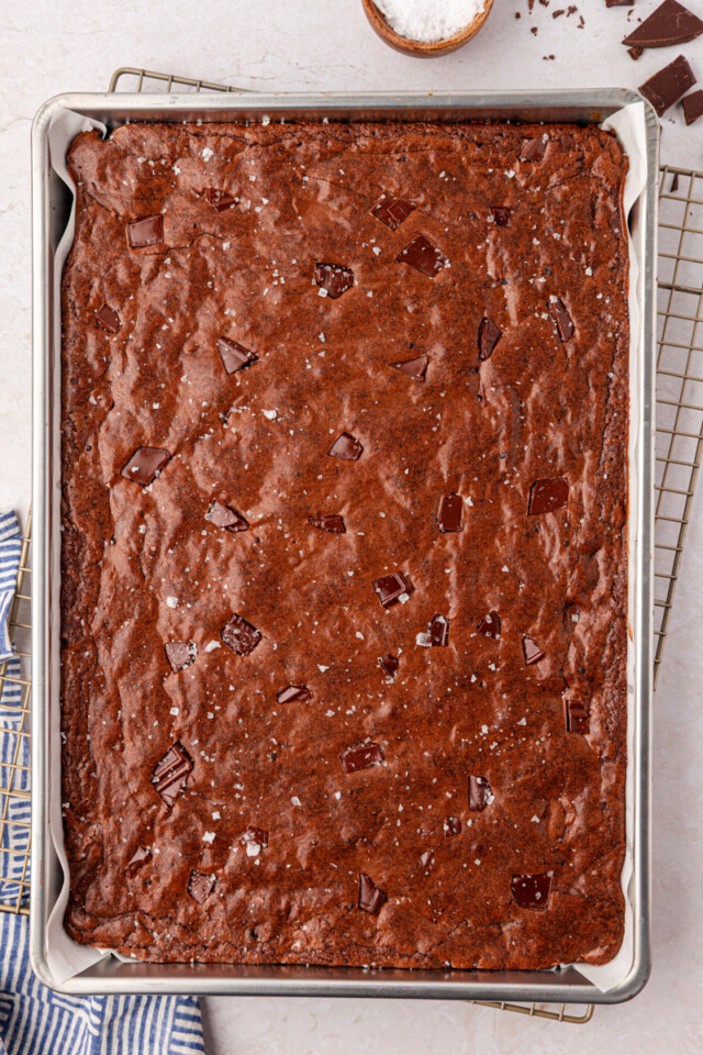 freshly baked brownies in a sheet pan with flaky salt sprinkled on top