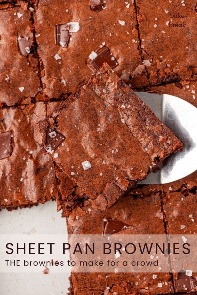 fudgy sheet pan brownies topped with flaky salt; text overlay "sheet pan brownies - THE brownies to make for a crowd"